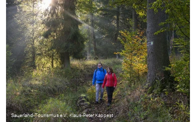 Auf der Sauerland-Waldroute am Möhnesee