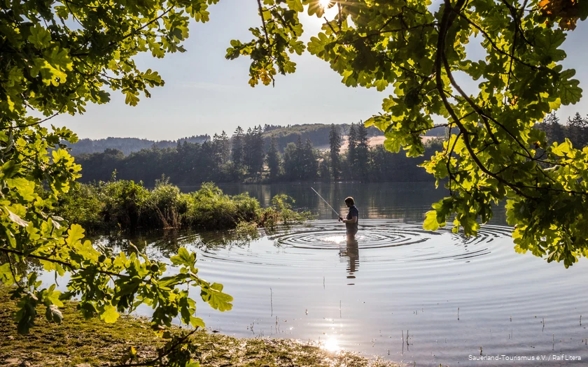 Ein Angler steht mit seiner Route im See. Die Sonne glitzert auf dem Wasser und die Blätter einer Eiche leuchten grün.