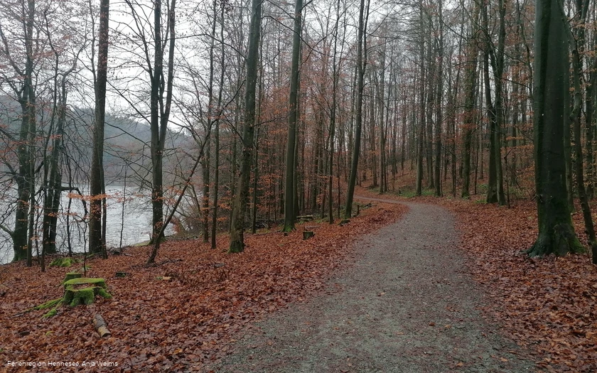 Wegbeschaffenheit Wogenweg am Hennesee