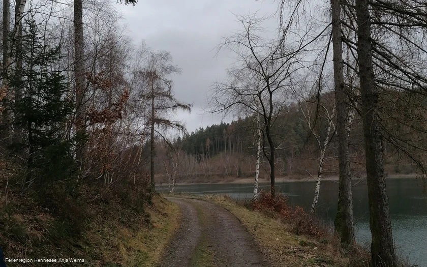 Auf dem Wogenweg am Hennesee