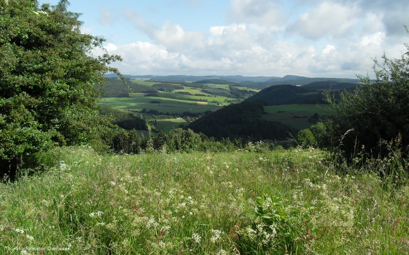 Blick auf Deisfeld und Schweinsbühl