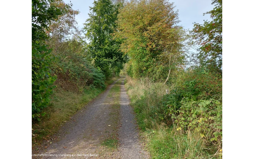 Weg bei Obermarsberg