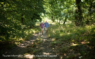 Wanderung bei Diemelsee Ottlar