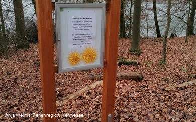 Eine der 12 Stationen am Wogenweg am Hennesee