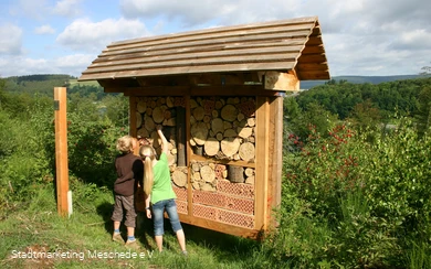 Insektenhotel Sinnepfad Hennesee