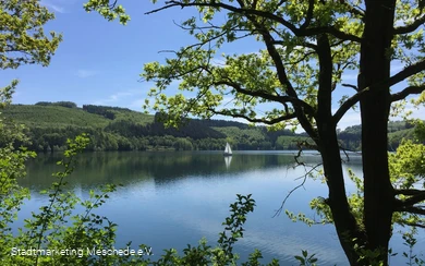 Hennesee