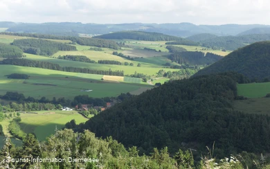 Blick auf Deisfeld und Schweinsbühl