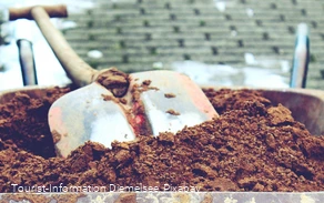 Landwarenhaus Diemelsee