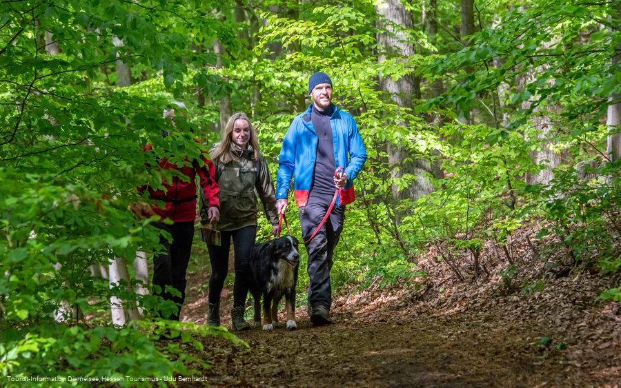 Rundwanderweg Diemelsee Wirmighausen