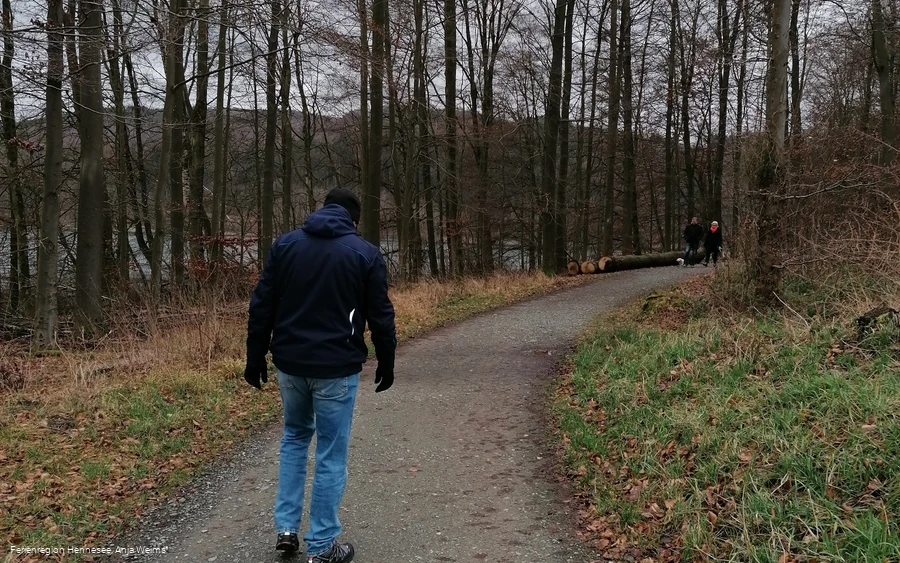 Auf dem Wogenweg am Hennesee