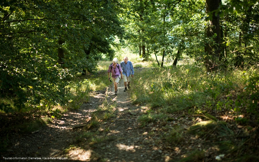 Wanderung bei Diemelsee Ottlar