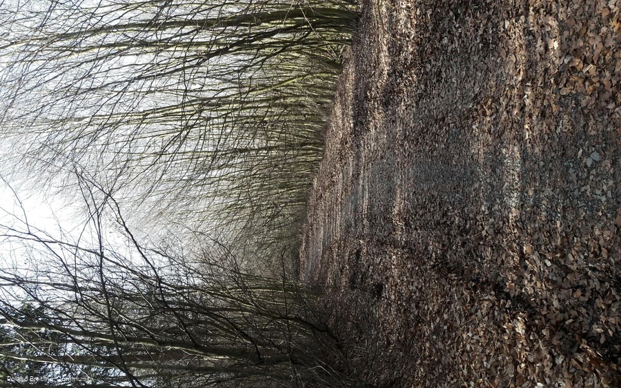 Montag, 27. März 2017 06:51:48