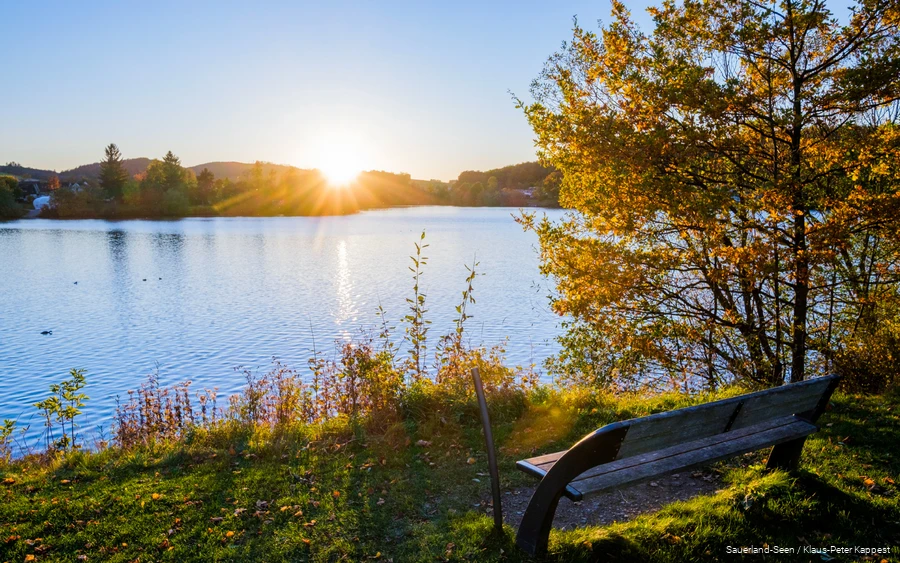 Sorpesee Herbst.jpg