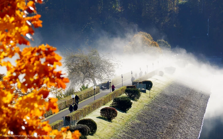 Nebel über der Dammkrone