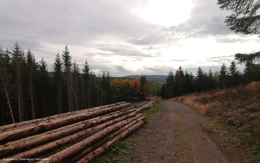 Auf dem F3 Rundweg Küppelturm Auf dem F3 Rundweg Küppelturm