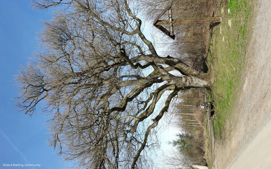 Montag, 27. März 2017 06:52:42