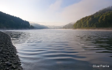 Wasserfläche mit Nebel