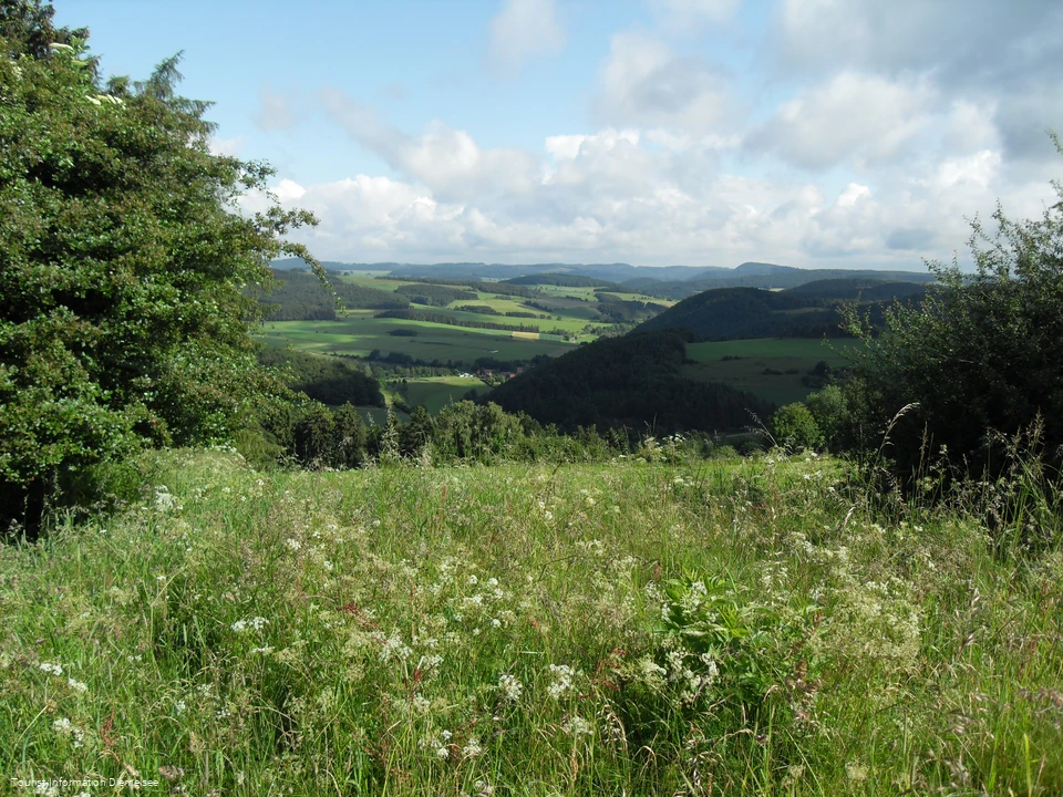Blick auf Deisfeld und Schweinsbühl