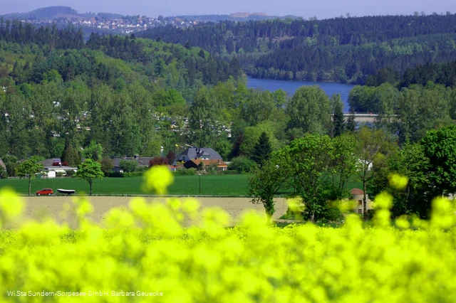 Blick auf den Sorpesee
