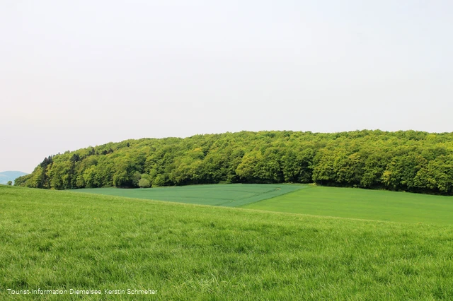 Wandern bei Benkhausen