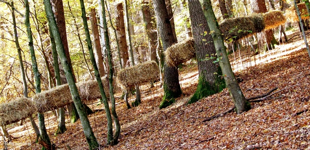 Galoppierende Strohhaufen