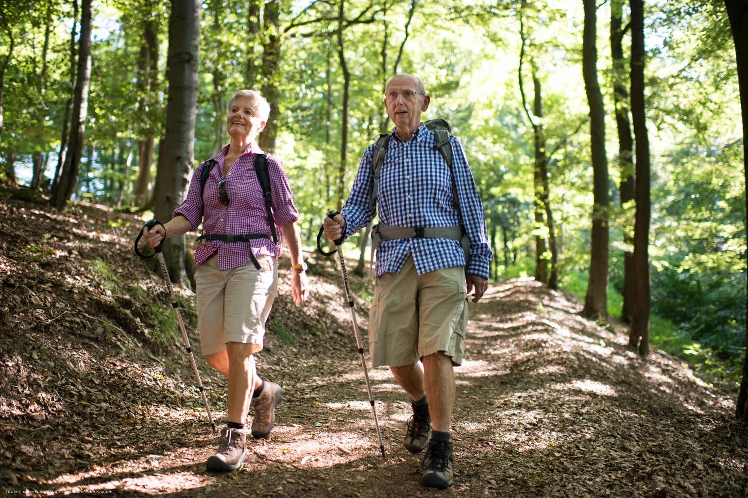 Wandern Richtung Rhenequelle in Diemelsee-Schweinsbühl