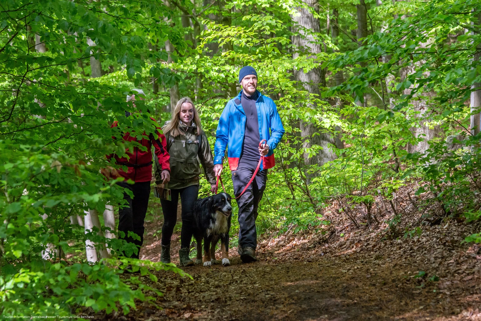 Rundwanderweg Diemelsee Wirmighausen