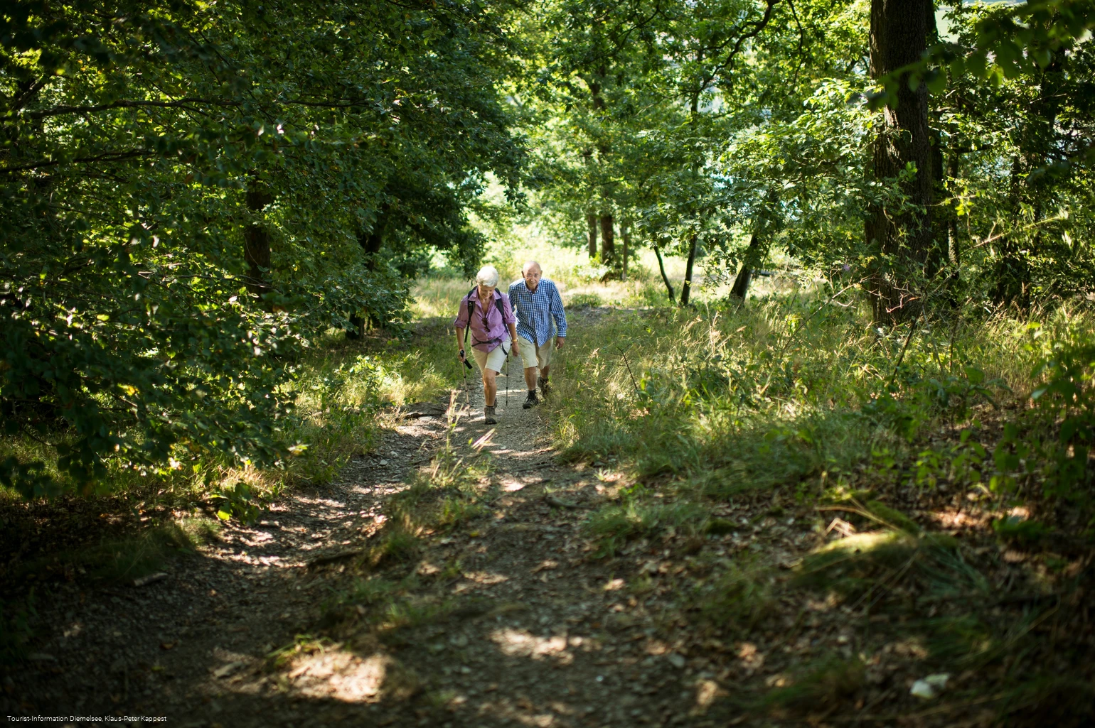 Wanderung bei Diemelsee Ottlar