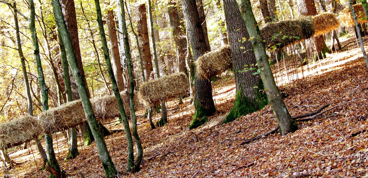Galoppierende Strohhaufen